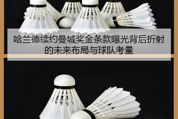 哈兰德续约曼城奖金条款曝光背后折射的未来布局与球队考量